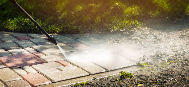 Best Residential Pressure Washing in Williamson, WV
